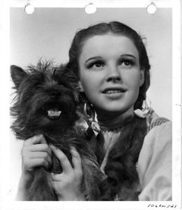 Dorothy e Totò - Il Mago di Oz 